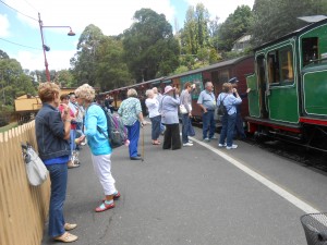 Belgrave Puffing Billy